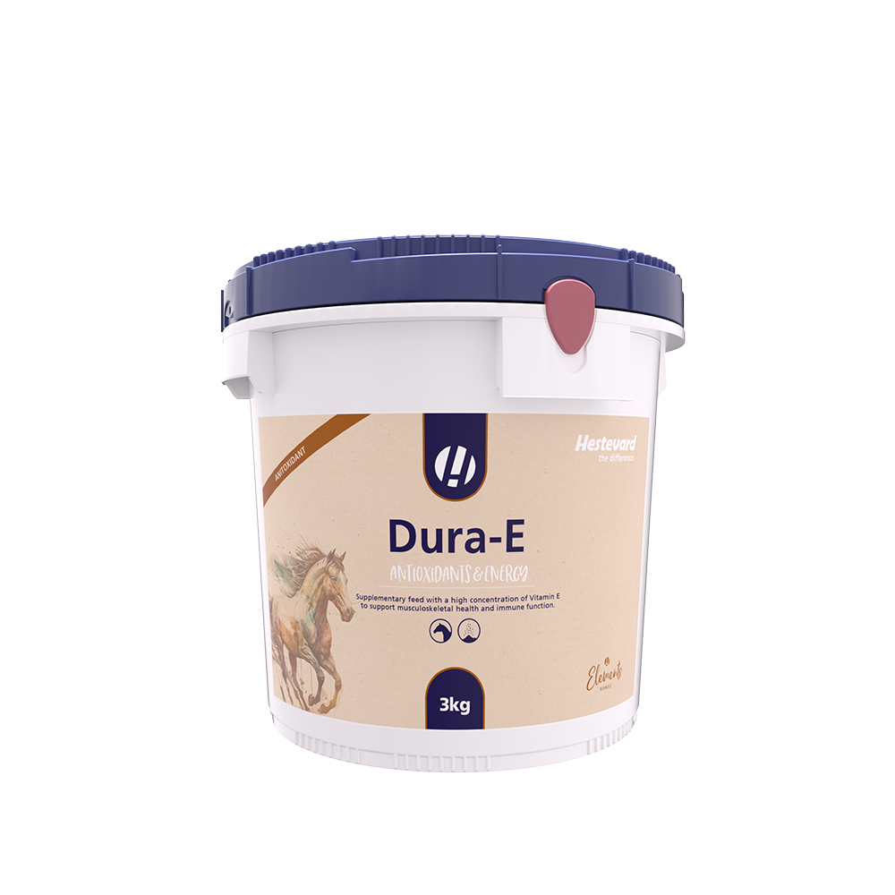 Hestevard Dura-E