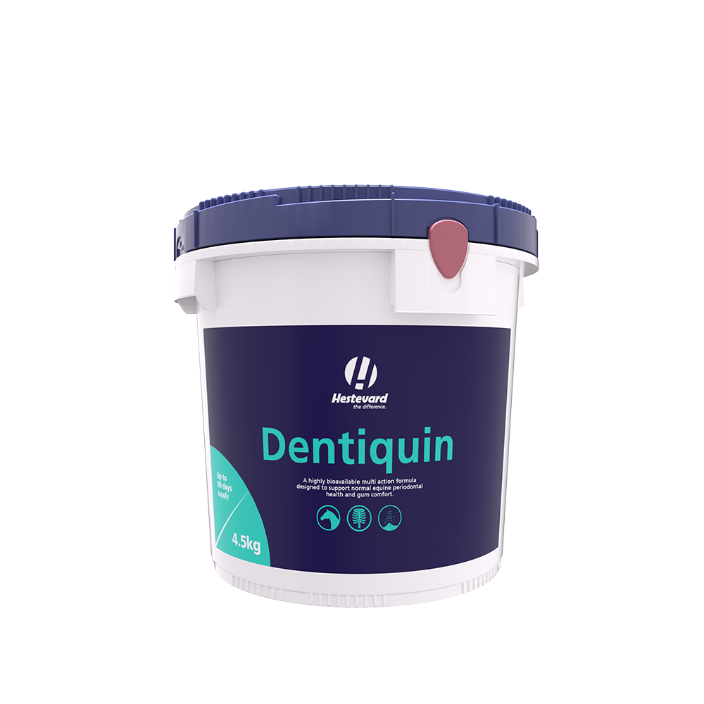 HESTEVARD Dentiquin 1,5 Kg
