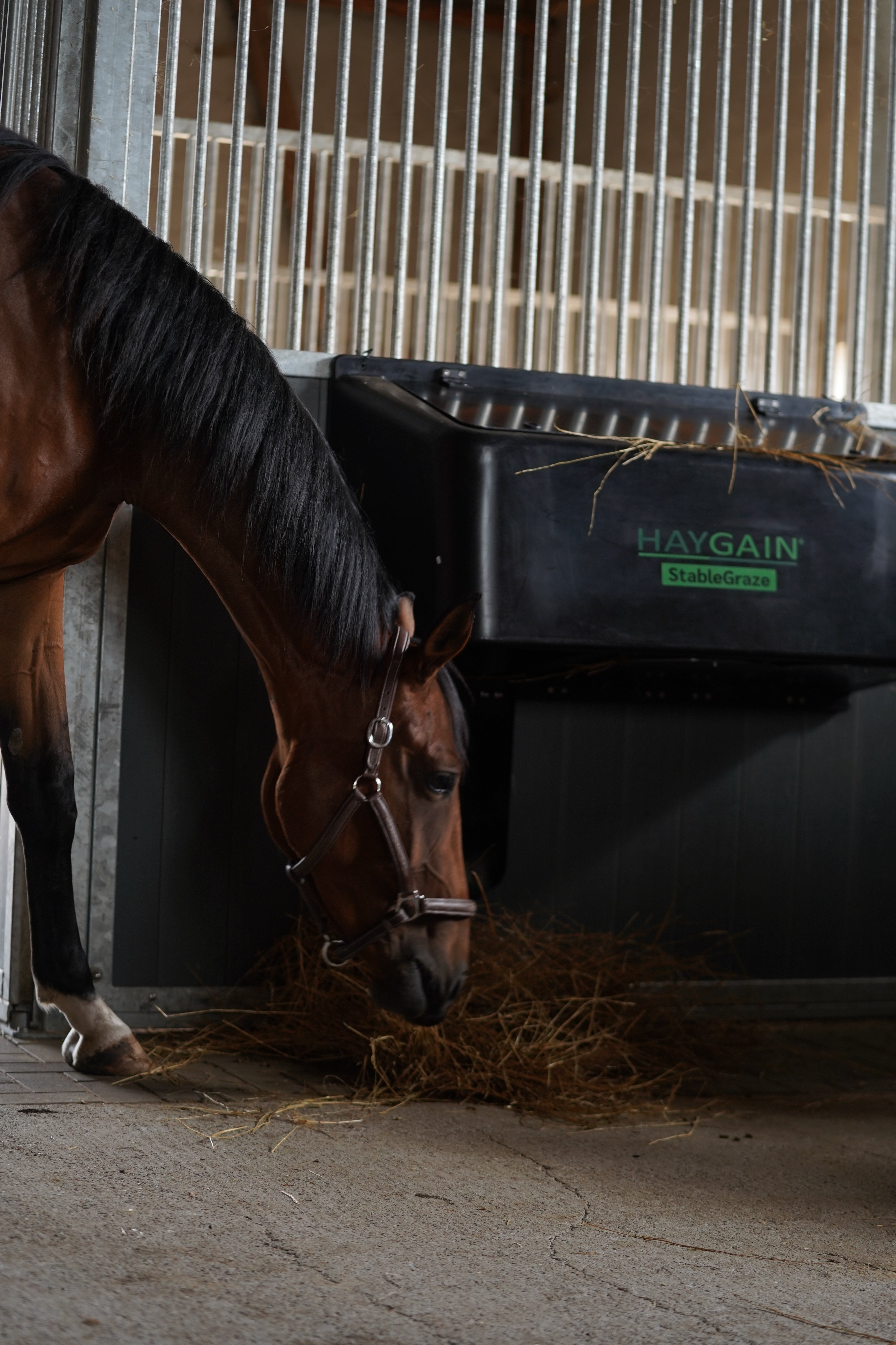 Haygain StableGraze 