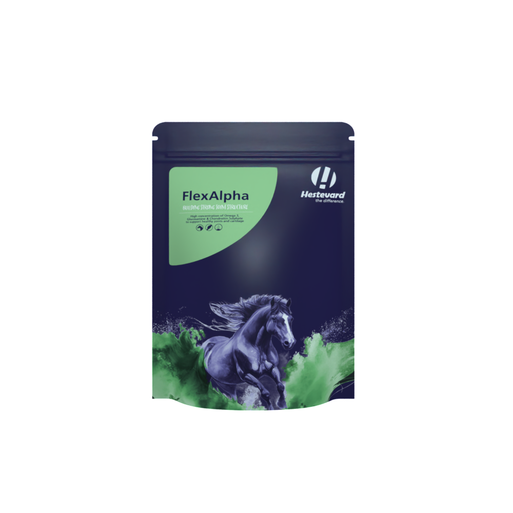 Hestevard FlexAlpha Poudre 