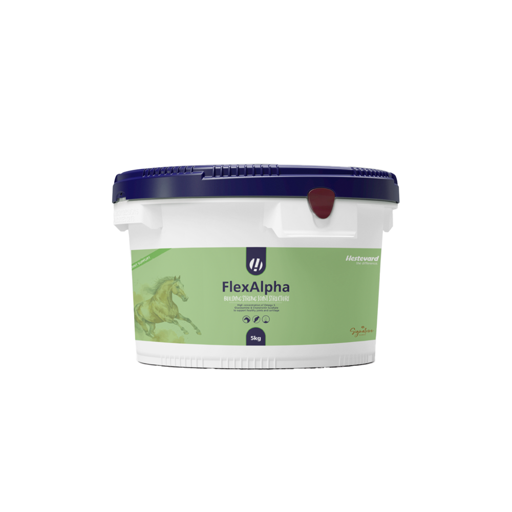 Hestevard FlexAlpha Poudre 