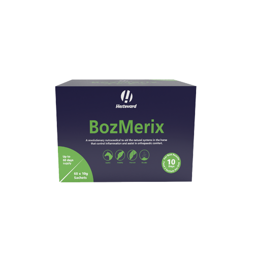 Hestevard BozMerix