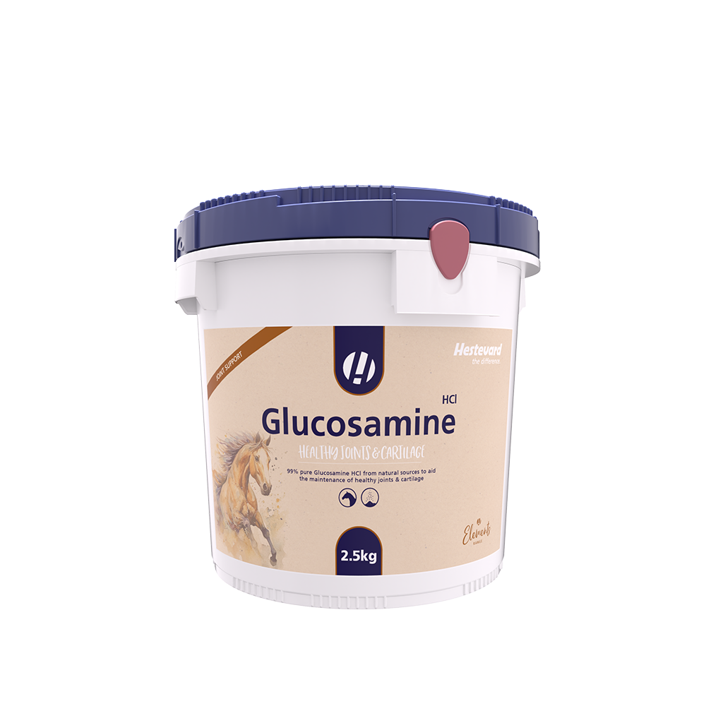 Hestevard Glucosamin