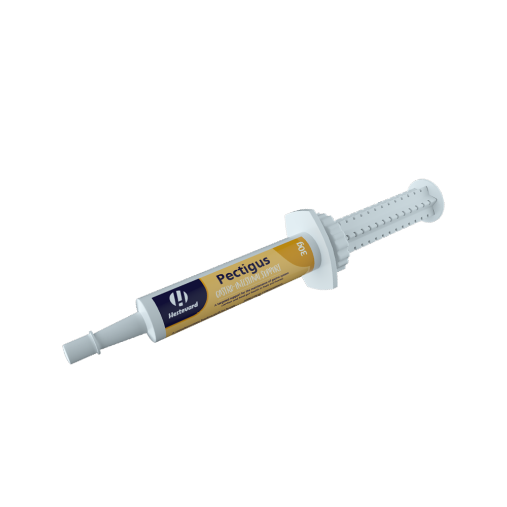 Hestevard Pectigus Paste