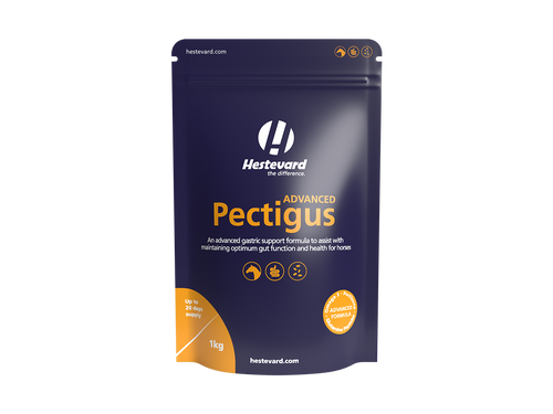 Hestevard Pectigus ADVANCED