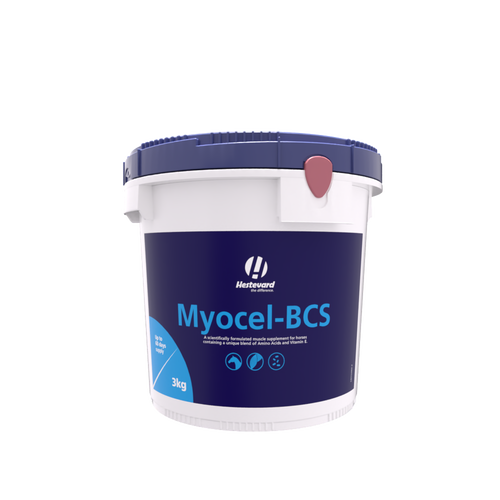 Hestevard Myocel-BCS