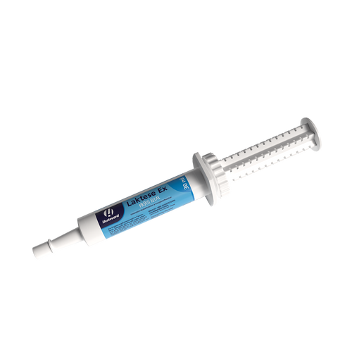 Hestevard Laktese Ex Paste 30ml